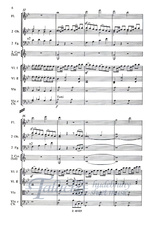 SINFONIE NR.83 G-MOLL, LA POULE